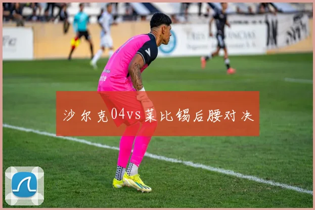沙尔克04vs莱比锡后腰对决