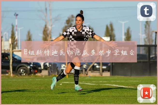 E组科特迪瓦vs厄瓜多尔中卫组合