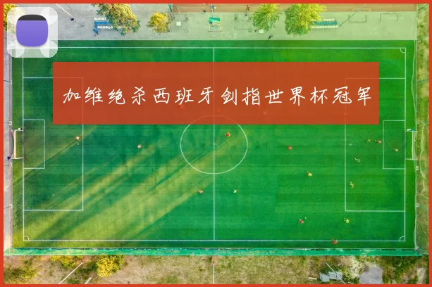 加维绝杀西班牙剑指世界杯冠军