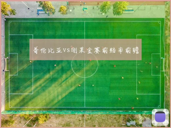 哥伦比亚vs刚果金赛前赔率前瞻